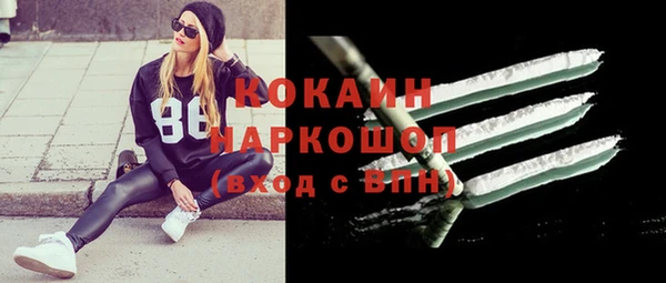 соль ск Алзамай