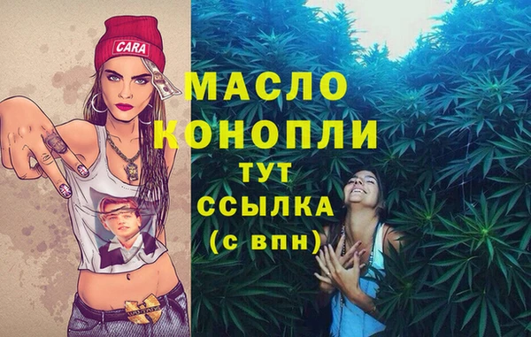 соль ск Алзамай