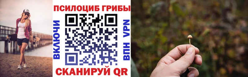 Псилоцибиновые грибы Psilocybe купить наркоту Игра